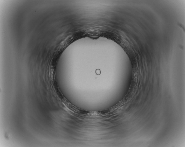 X0000096960231200802080907
