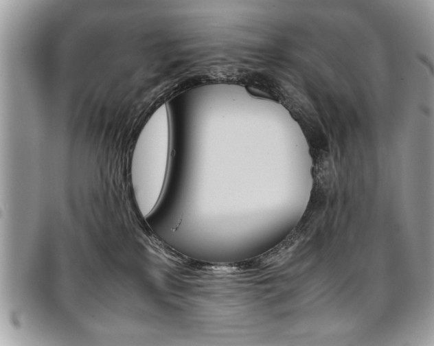 X0000096960233200802080907