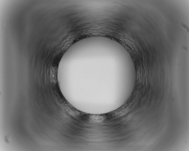 X0000096960234200802080907
