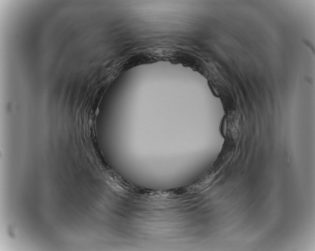 X0000096960235200802080907