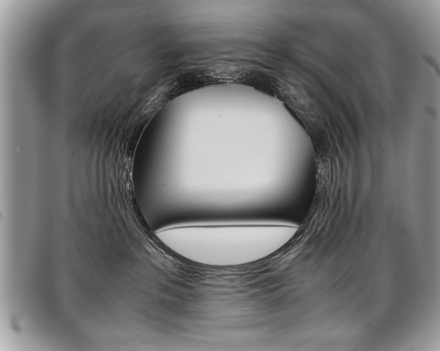 X0000096960237200802080907