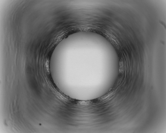X0000096960238200802080907