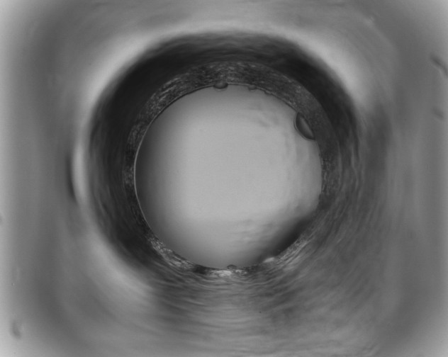 X0000096960239200802080907