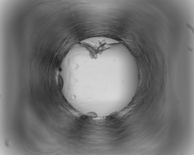 X0000096960240200802080907