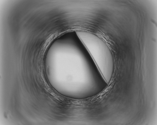 X0000096960241200802080906