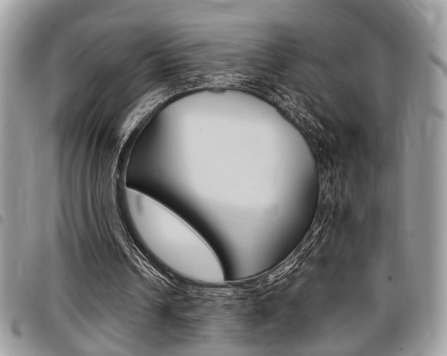 X0000096960242200802080906