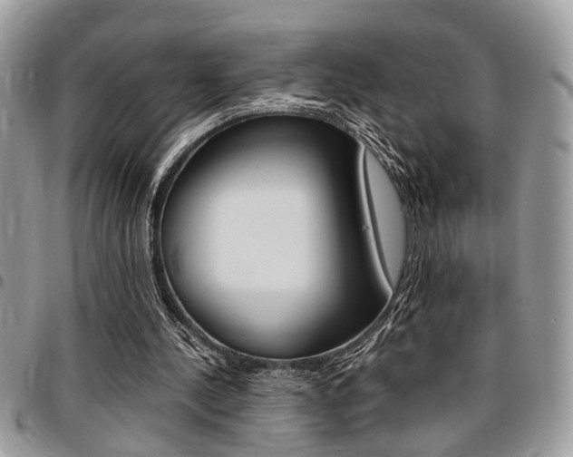 X0000096960244200802080906