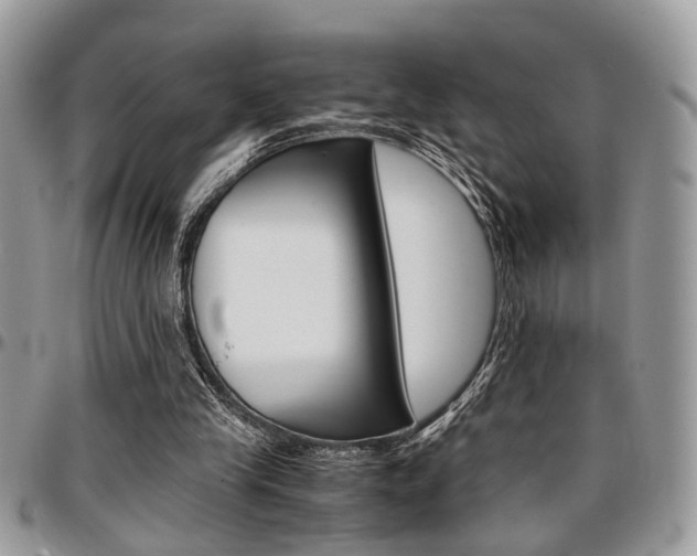 X0000096960245200802080906