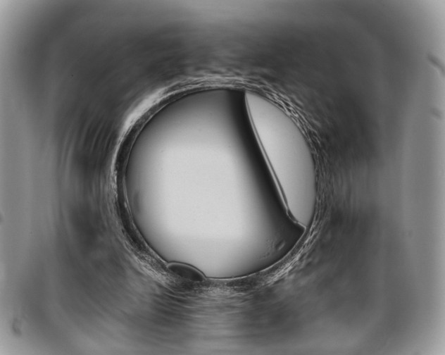 X0000096960246200802080906