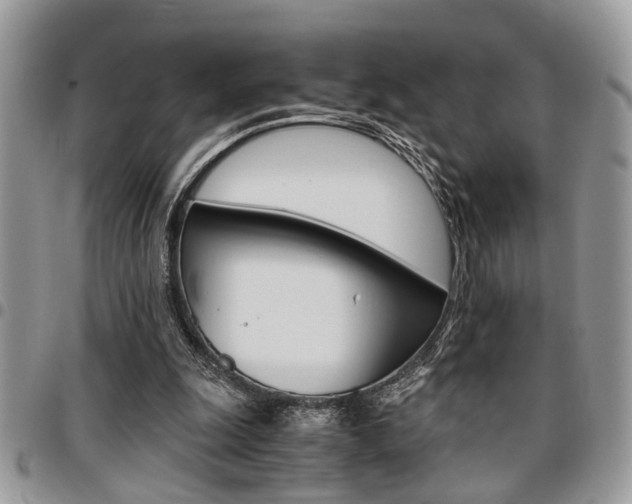 X0000096960247200802080906