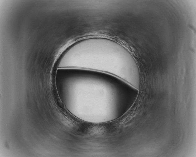 X0000096960248200802080906