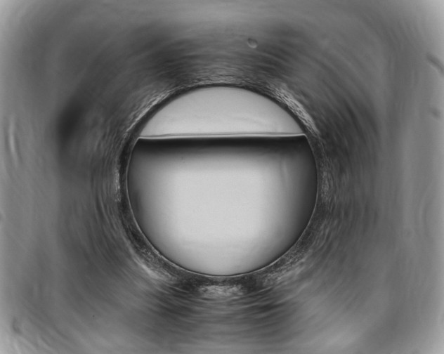 X0000096960251200802080906