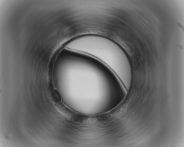 X0000096960252200802080906