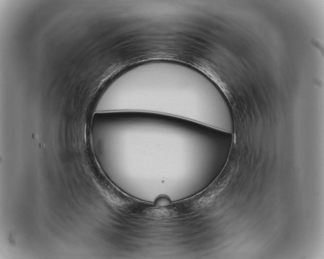 X0000096960253200802080906