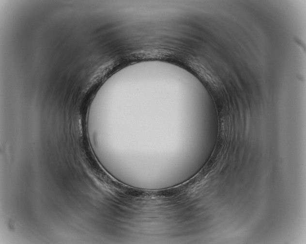 X0000096960254200802080906