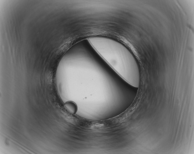 X0000096960257200802080906