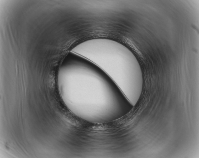 X0000096960259200802080906