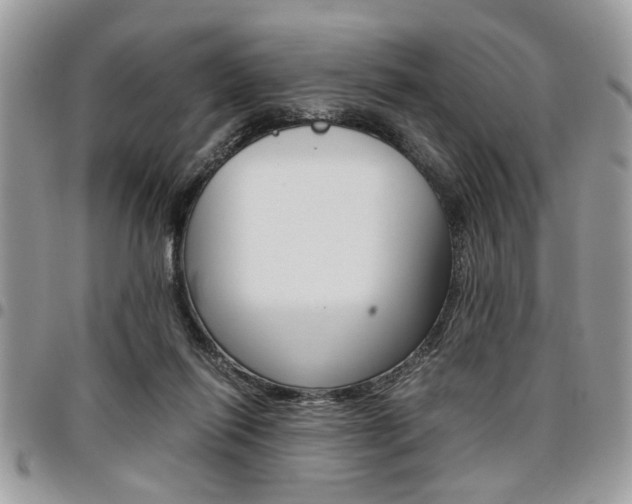 X0000096960262200802080906