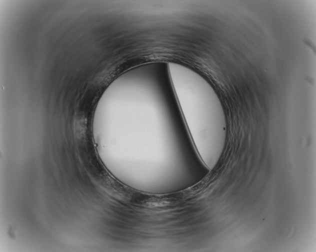 X0000096960263200802080906