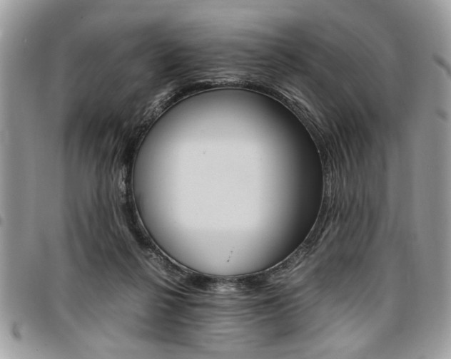 X0000096960264200802080906