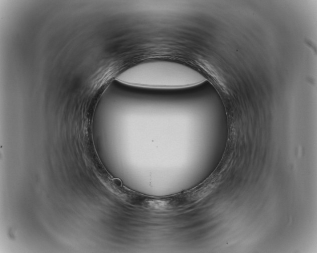X0000096960265200802080906