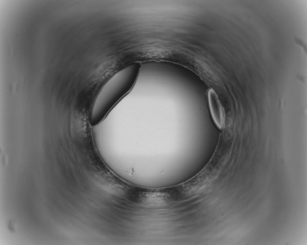 X0000096960268200802080906