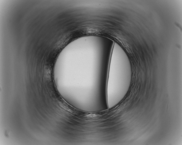 X0000096960269200802080906