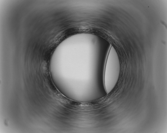 X0000096960270200802080906