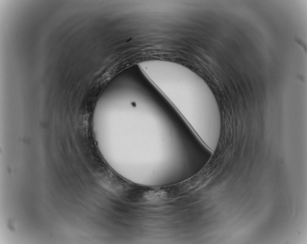X0000096960271200802080906