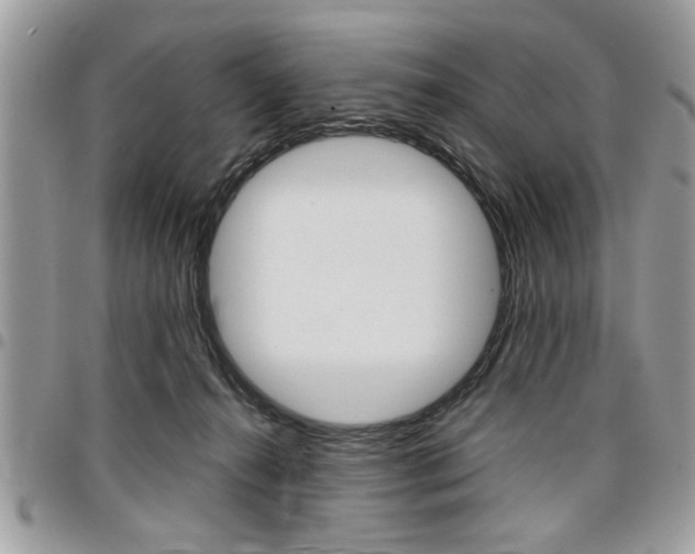 X0000096960272200802080906