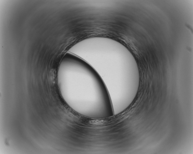 X0000096960273200802080906