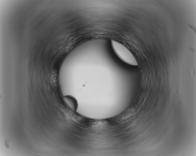 X0000096960274200802080906