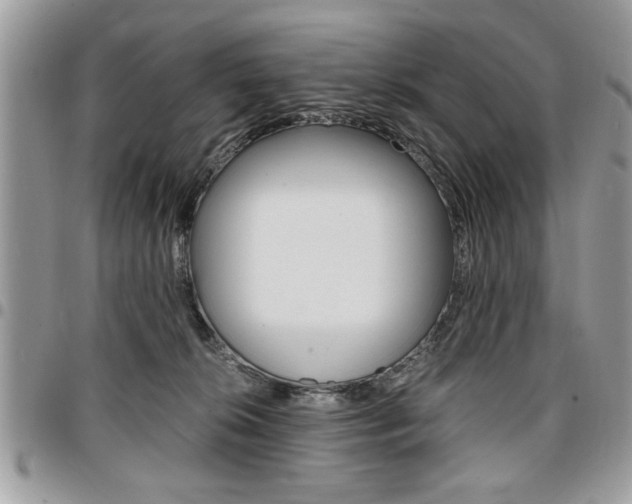 X0000096960276200802080906