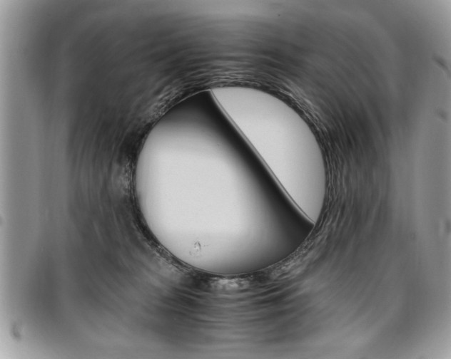 X0000096960277200802080906