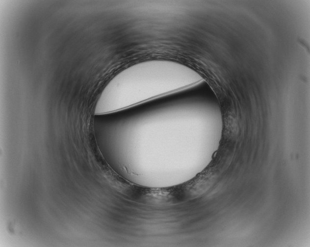 X0000096960278200802080906