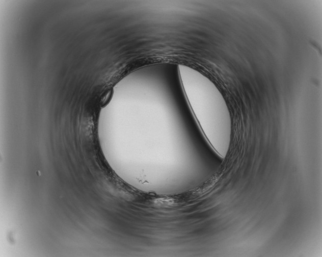 X0000096960279200802080906