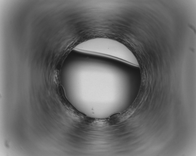 X0000096960280200802080906