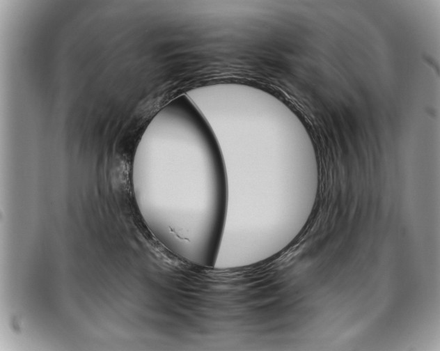 X0000096960281200802080907