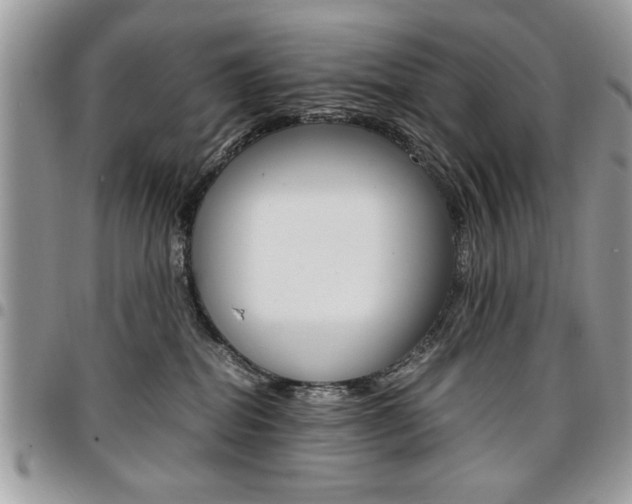 X0000096960282200802080907