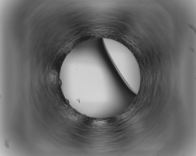 X0000096960283200802080907