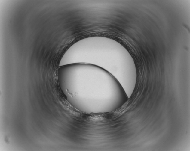 X0000096960284200802080907
