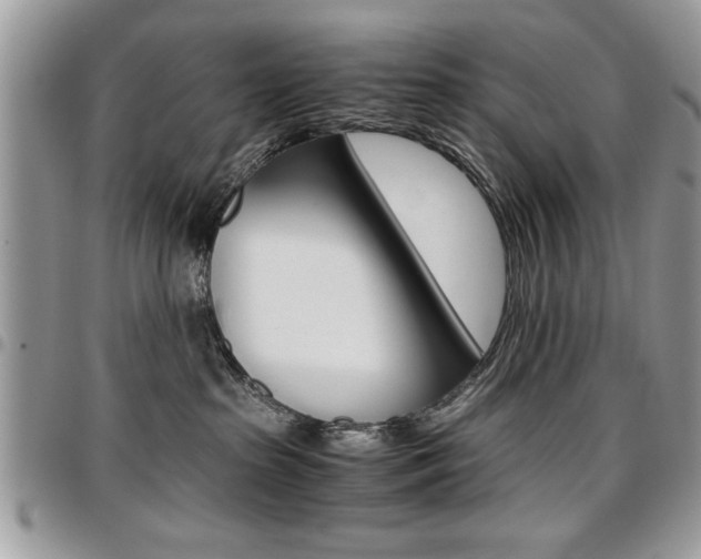 X0000096960285200802080907