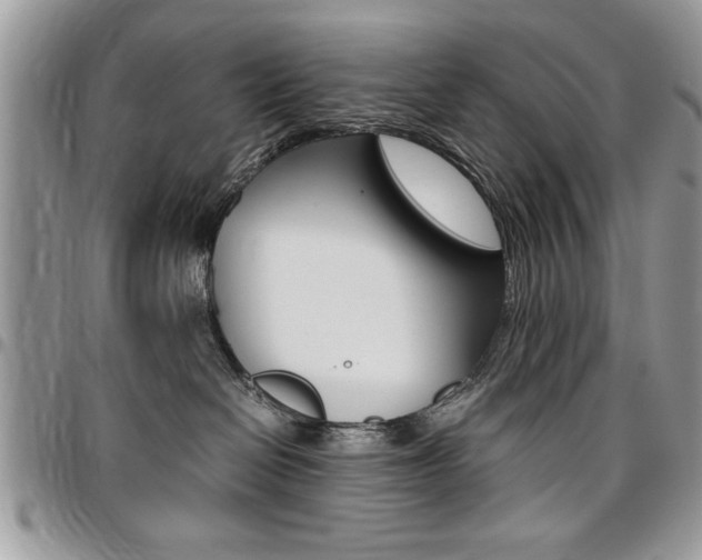 X0000096960286200802080907
