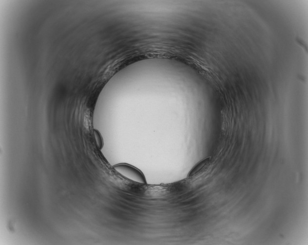 X0000096960287200802080907