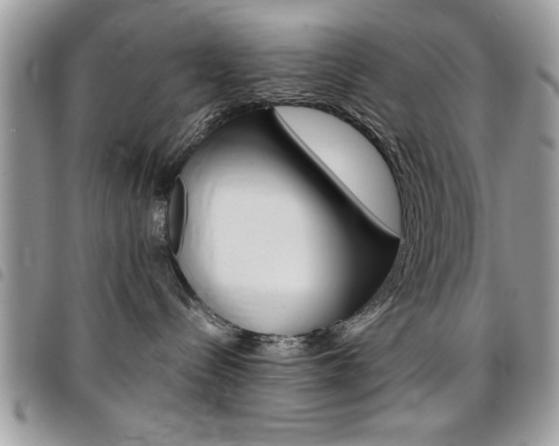 X0000096960288200802080907