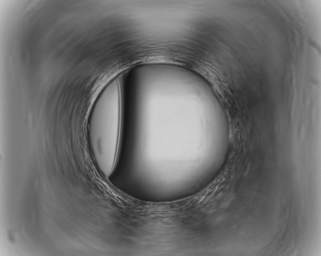 X0000096960289200802080906