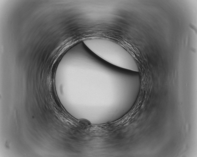 X0000096960290200802080906