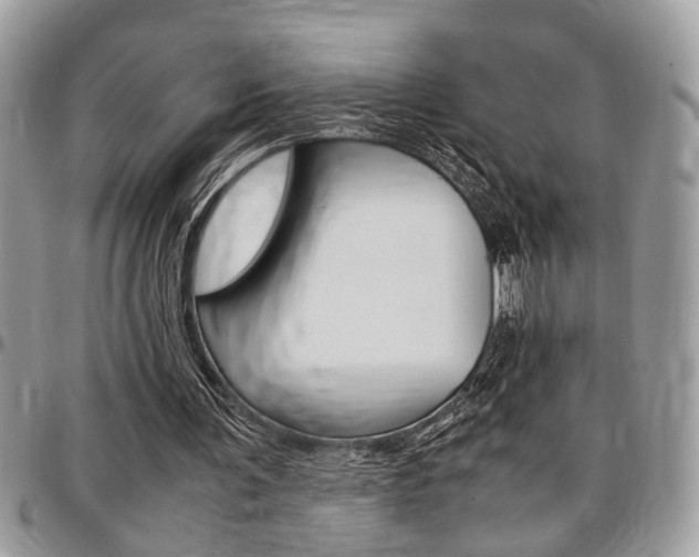 X0000096960291200802080906