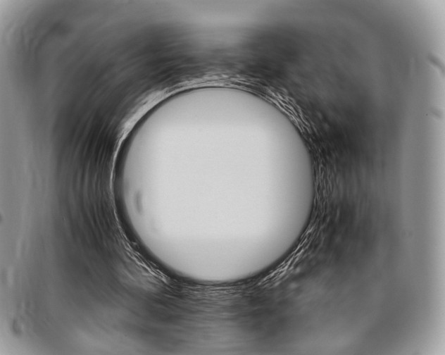X0000096960292200802080906