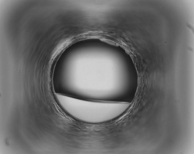 X0000096960293200802080906